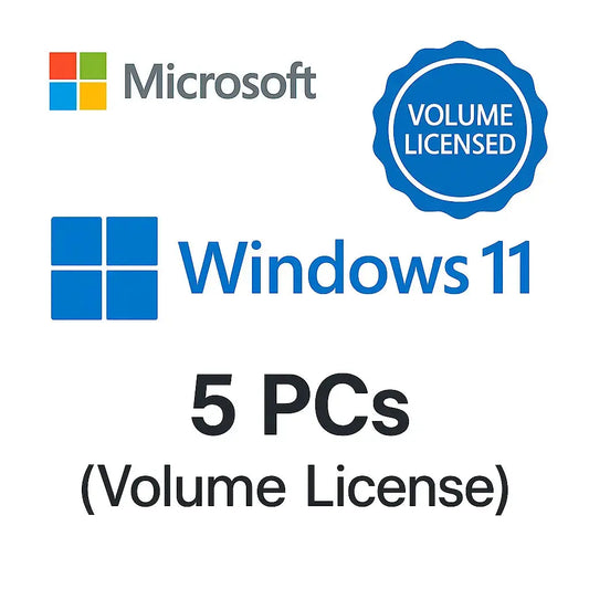 Windows 11 Professional – 5 PC License | Multi-Activation Key LicenGold